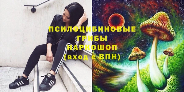 прущая мука Верея