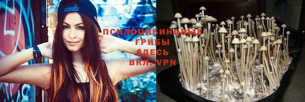 прущая мука Верея
