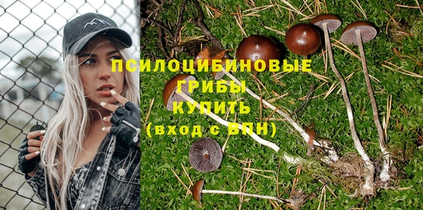 прущая мука Верея